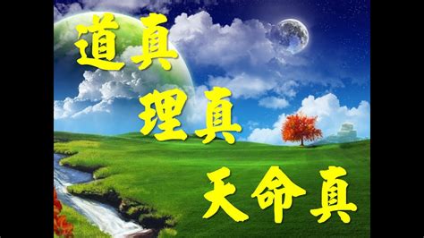 有情無情試根基|一貫道道義